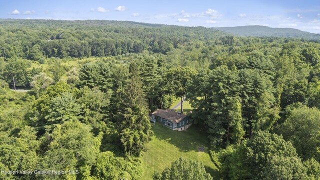 293 Pine Bush Rd, Stone Ridge, NY 12484 - drone / aerial view of a heavily wooded area