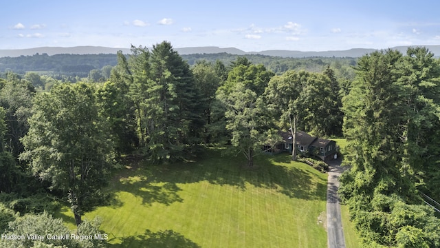 293 Pine Bush Rd, Stone Ridge, NY 12484 - view of mountain background featuring a forest