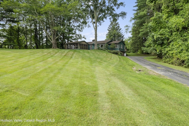 293 Pine Bush Rd, Stone Ridge, NY 12484 - view of grassy yard