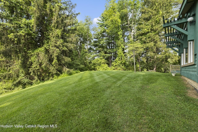 293 Pine Bush Rd, Stone Ridge, NY 12484 - view of green lawn