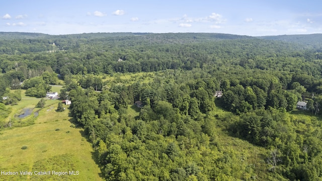 293 Pine Bush Rd, Stone Ridge, NY 12484 - aerial view of a forest