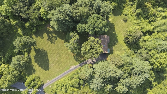 293 Pine Bush Rd, Stone Ridge, NY 12484 - aerial view of property's location