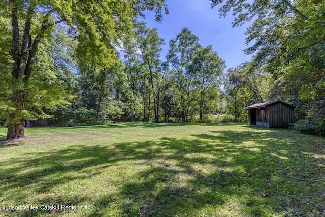 view of yard featuring an outbuilding, a view of trees, and a shed