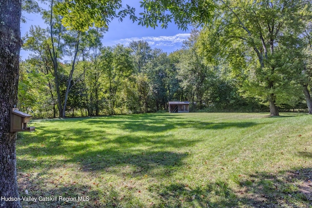 view of yard featuring an outbuilding and a wooded view