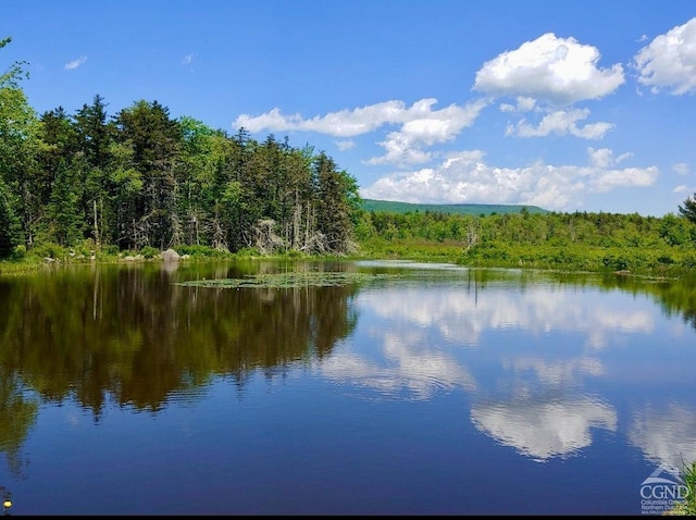 43 Terns Rd, Haines Falls, NY 12436 - photo 13