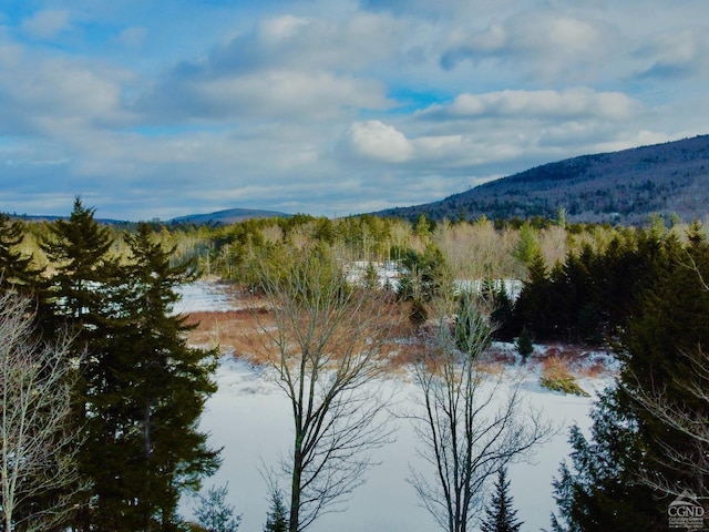 43 Terns Rd, Haines Falls, NY 12436 - photo 33
