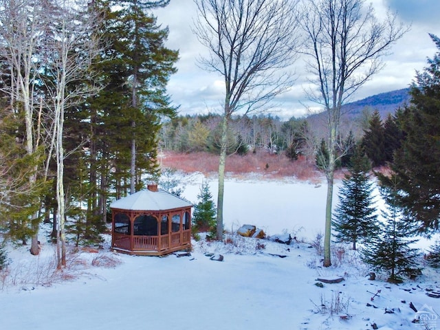 43 Terns Rd, Haines Falls, NY 12436 - photo 36