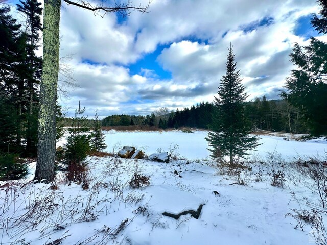 43 Terns Rd, Haines Falls, NY 12436 - photo 12