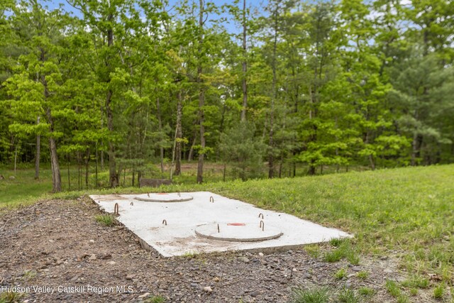 790 Bogart Rd, Palenville, NY 12463