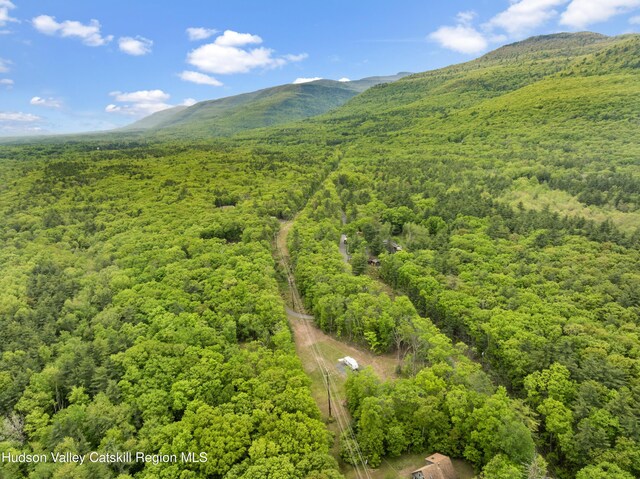 790 Bogart Rd, Palenville, NY 12463
