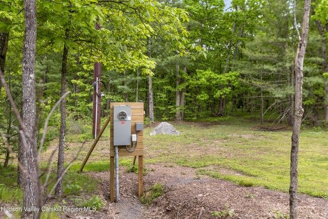790 Bogart Rd, Palenville, NY 12463