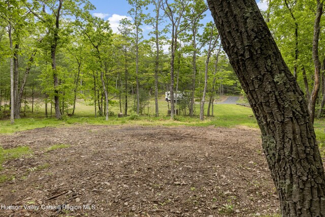 790 Bogart Rd, Palenville, NY 12463