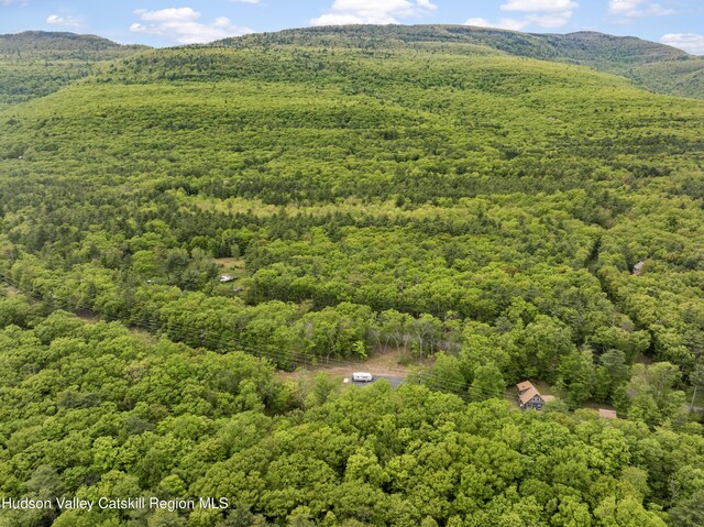 790 Bogart Rd, Palenville, NY 12463