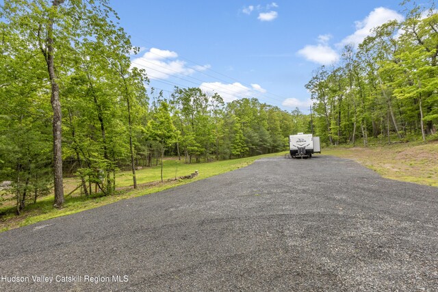 790 Bogart Rd, Palenville, NY 12463