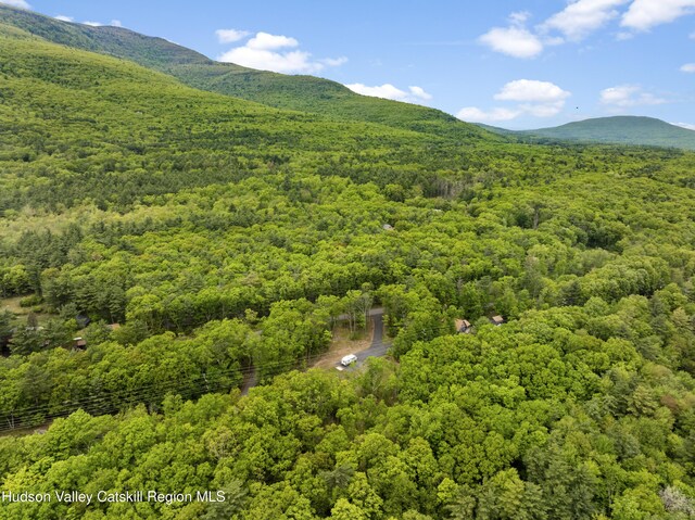 790 Bogart Rd, Palenville, NY 12463