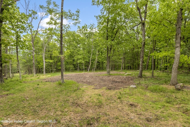 790 Bogart Rd, Palenville, NY 12463
