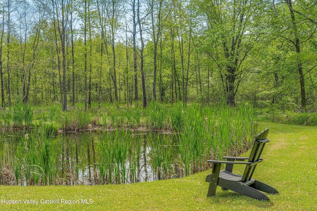 10 Harry Wells Rd, Saugerties, NY 12477 - photo 57