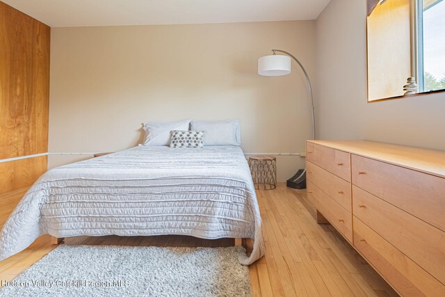 10 Harry Wells Rd, Saugerties, NY 12477 - photo 39