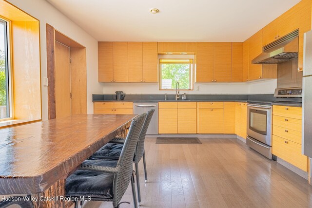10 Harry Wells Rd, Saugerties, NY 12477 - photo 32