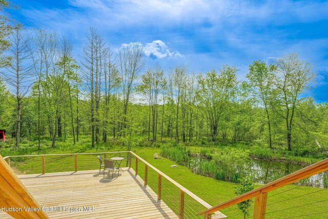 10 Harry Wells Rd, Saugerties, NY 12477 - photo 51