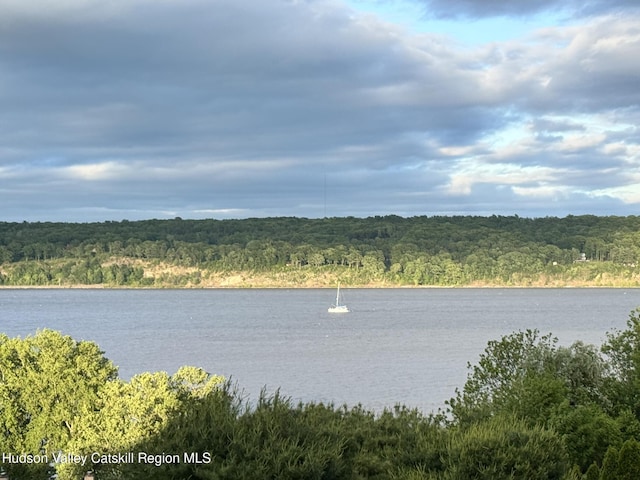 17 Riverview, Port Ewen, NY 12466 - water view with a forest