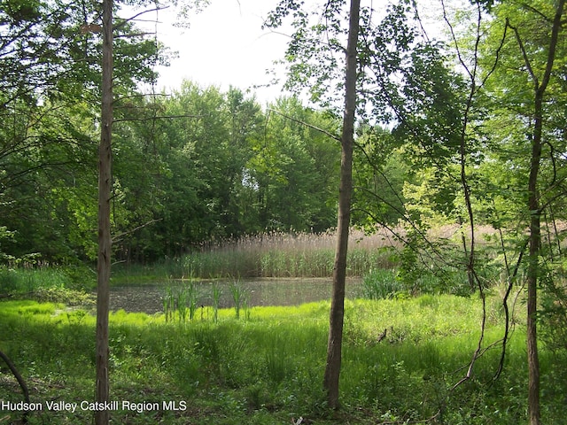 85 Beth Dr, Kingston, NY 12401 - photo 2