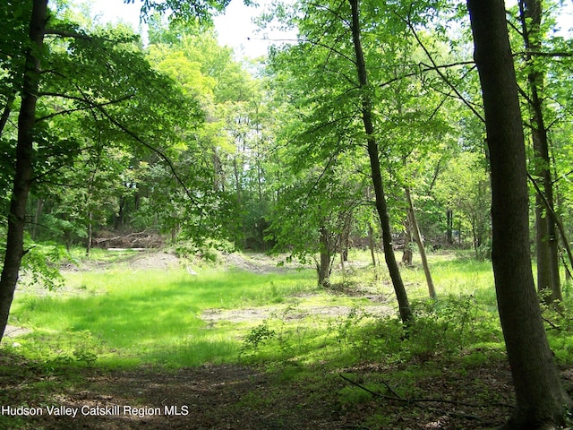 85 Beth Dr, Kingston, NY 12401 - photo 18