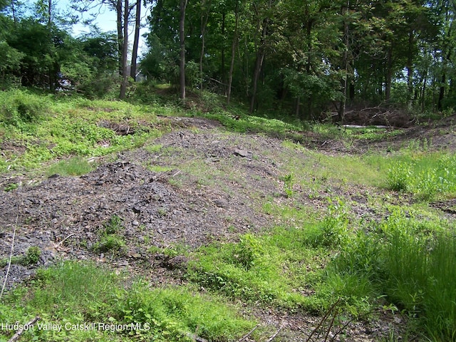 85 Beth Dr, Kingston, NY 12401 - photo 16