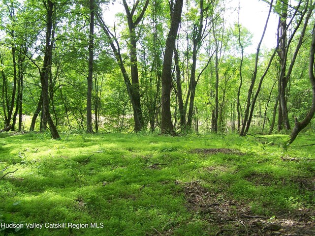 85 Beth Dr, Kingston, NY 12401 - photo 17