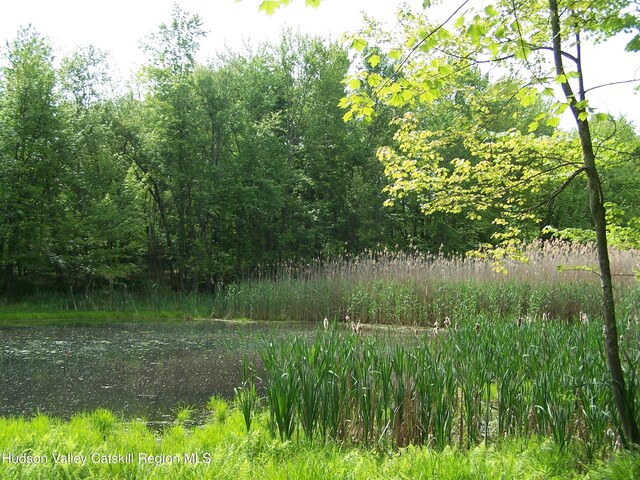 85 Beth Dr, Kingston, NY 12401 - photo 9