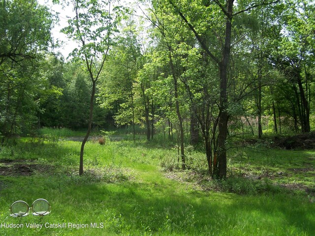 85 Beth Dr, Kingston, NY 12401 - photo 15