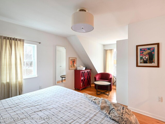 bedroom with wood-type flooring