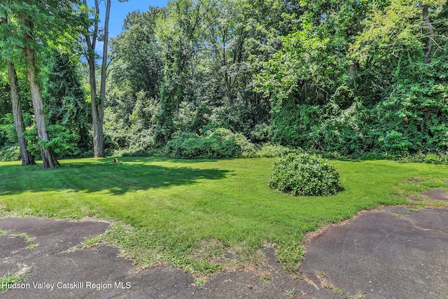 15 Spaulding Ln, Saugerties, NY 12477 - photo 27