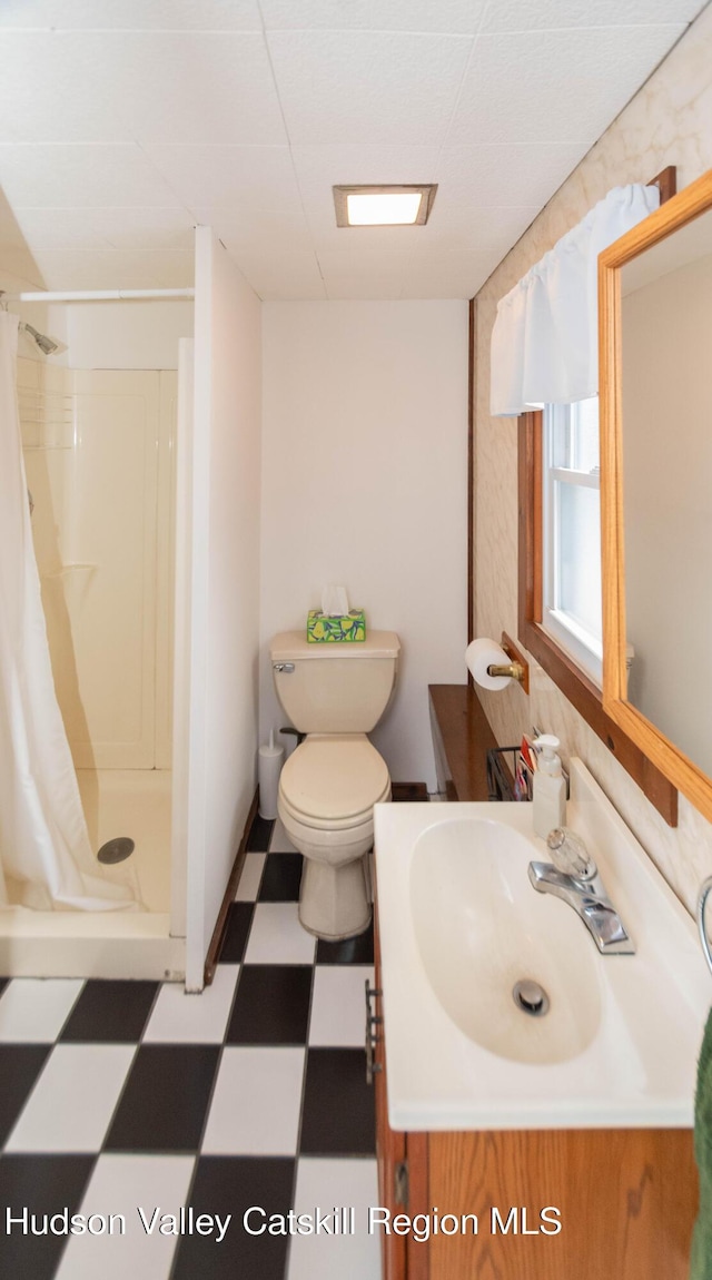 bathroom with vanity, curtained shower, and toilet