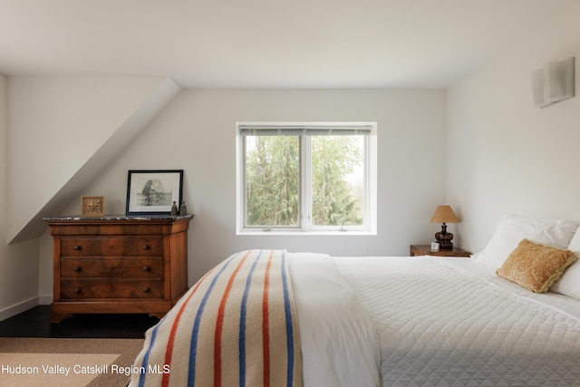 46 Pompeys Cave Rd, High Falls, NY 12440 - bedroom with dark wood finished floors
