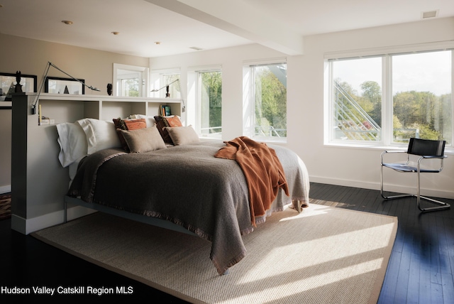46 Pompeys Cave Rd, High Falls, NY 12440 - bedroom with dark wood-style flooring and baseboards