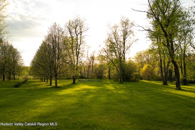 46 Pompeys Cave Rd, High Falls, NY 12440 - view of community with a lawn