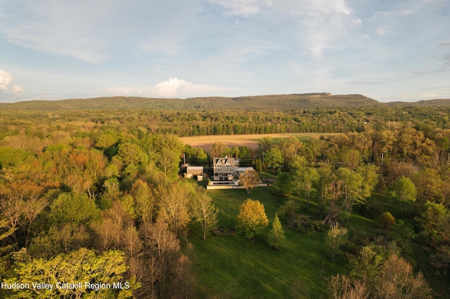 46 Pompeys Cave Rd, High Falls, NY 12440 - view of property location featuring a heavily wooded area