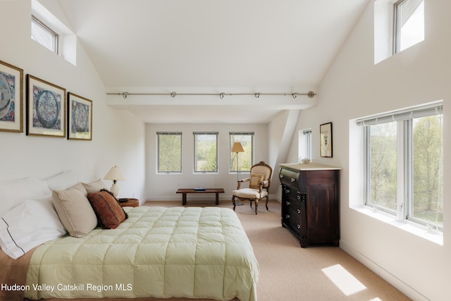 46 Pompeys Cave Rd, High Falls, NY 12440 - bedroom featuring high vaulted ceiling, multiple windows, and light colored carpet