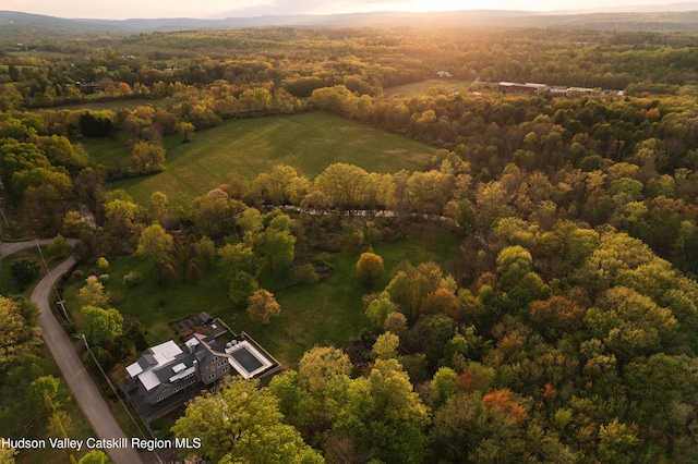 46 Pompeys Cave Rd, High Falls, NY 12440 - aerial view of property and surrounding area featuring a heavily wooded area