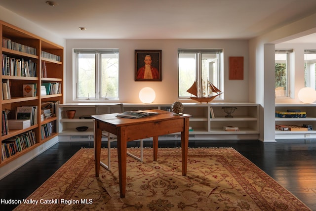 46 Pompeys Cave Rd, High Falls, NY 12440 - office with dark wood-type flooring