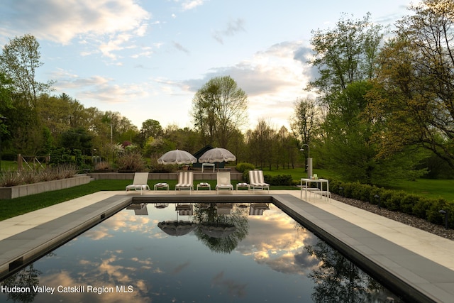 46 Pompeys Cave Rd, High Falls, NY 12440 - view of pool featuring view of wooded area and a patio