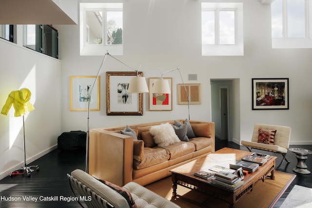 46 Pompeys Cave Rd, High Falls, NY 12440 - living room featuring plenty of natural light, a towering ceiling, baseboards, and wood finished floors