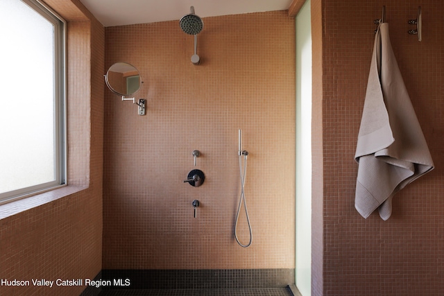46 Pompeys Cave Rd, High Falls, NY 12440 - bathroom featuring a tile shower
