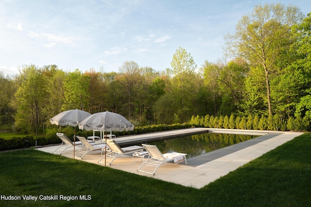 46 Pompeys Cave Rd, High Falls, NY 12440 - view of pool with a yard, a patio, and a wooded view
