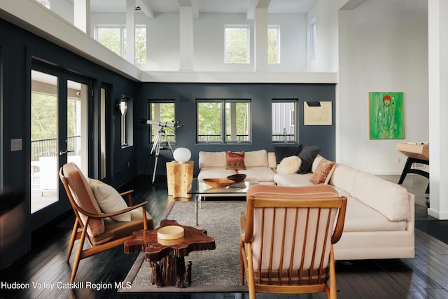 46 Pompeys Cave Rd, High Falls, NY 12440 - living area featuring dark wood-style flooring, plenty of natural light, beamed ceiling, a high ceiling, and baseboards