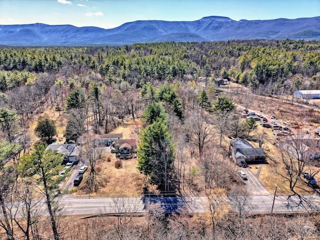 645 Vernal Butler Rd, Cairo, NY 12413 - photo 57