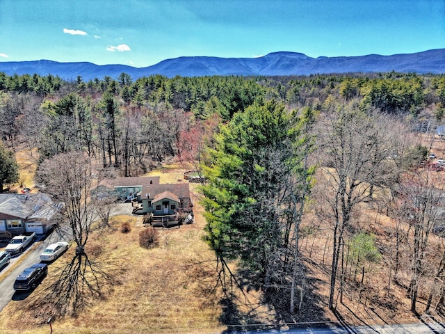 645 Vernal Butler Rd, Cairo, NY 12413 - photo 58