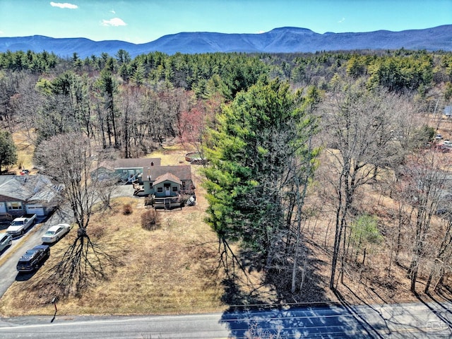 645 Vernal Butler Rd, Cairo, NY 12413 - photo 59