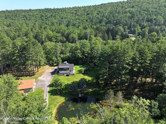 118 Bennett Rd, Napanoch, NY 12458 - photo 80